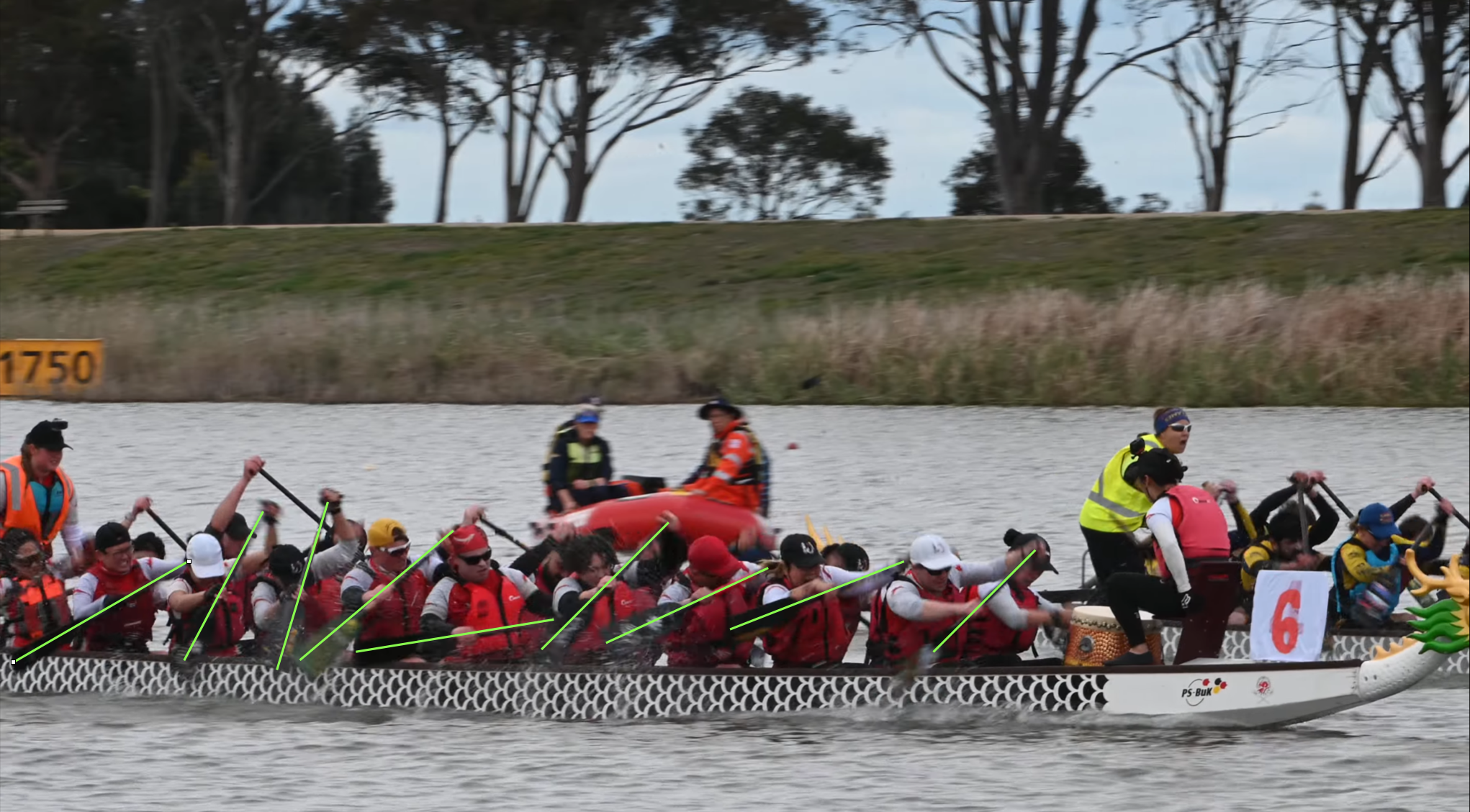 What I wanted - a picture of a team dragon boat paddling.  Their paddles are successfully highlighted in green.  This is because I did the markup of this image by hand. 