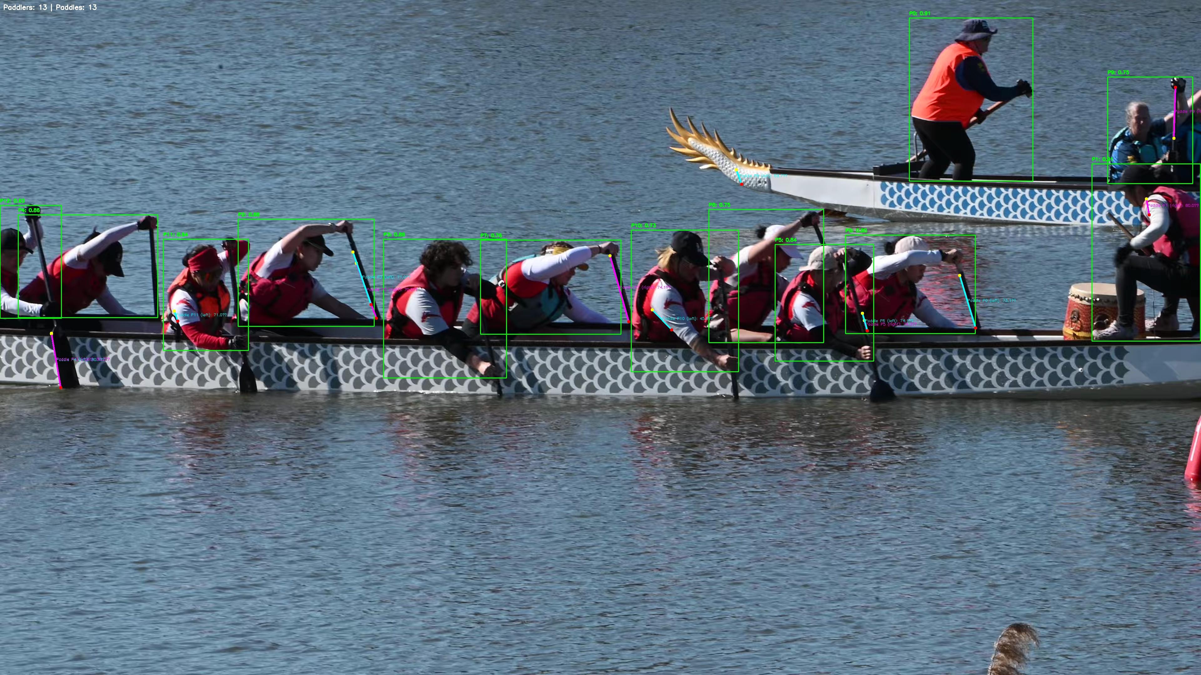 The closest I got to something working properly. Its a picture of a dragon boating team - each of the paddlers is highlighted with a bounding box generated by the YOLOv8 computer vision model.  Within the bounding box, a few paddles have actually been successfully identified. 